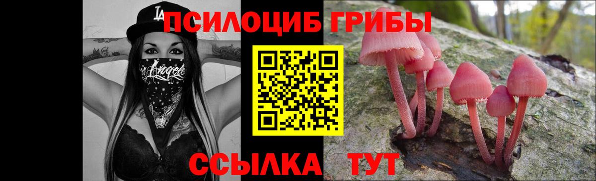 Псилоцибиновые грибы Magic Shrooms  Вход с VPN  Нововоронеж 